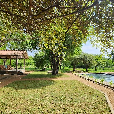Hide Yala Bed & Breakfast Tissamaharama Ngoại thất bức ảnh