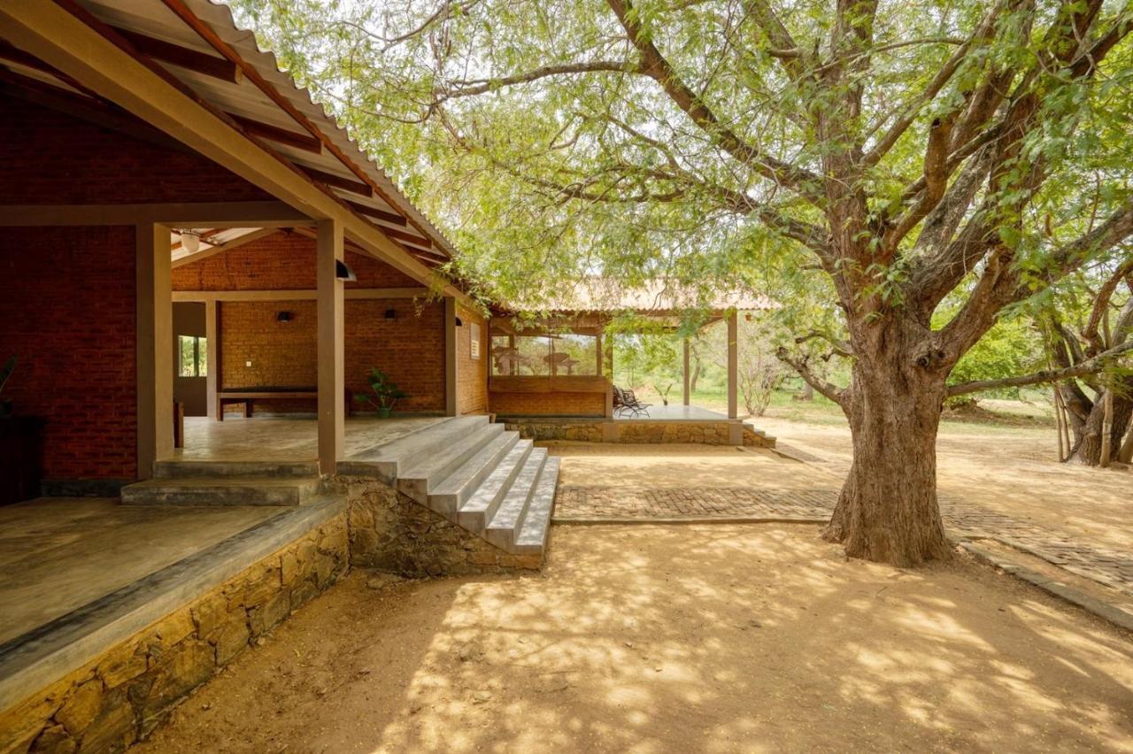 Hide Yala Bed & Breakfast Tissamaharama Ngoại thất bức ảnh