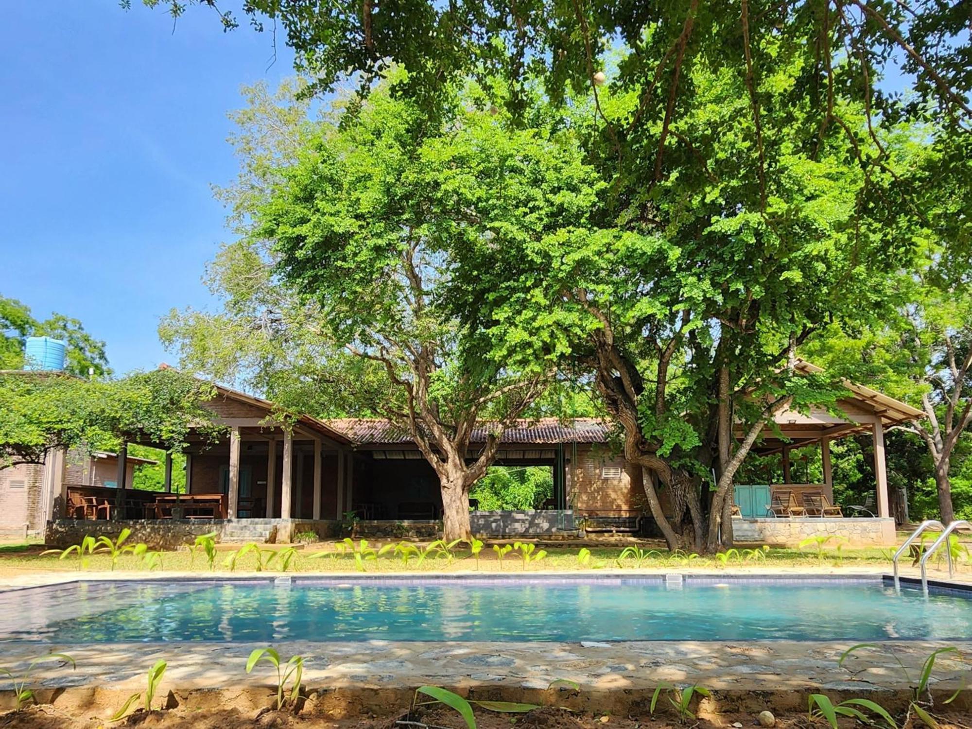 Hide Yala Bed & Breakfast Tissamaharama Ngoại thất bức ảnh